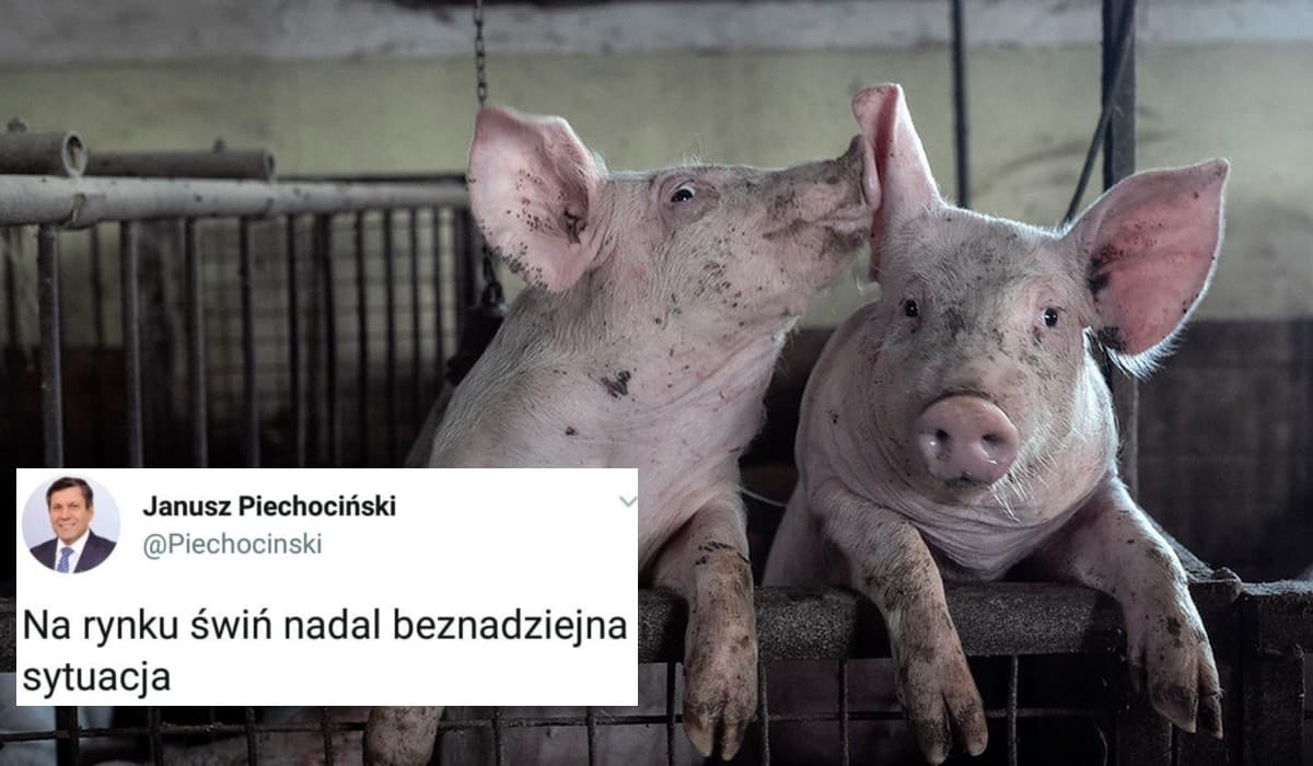 piechocinski
