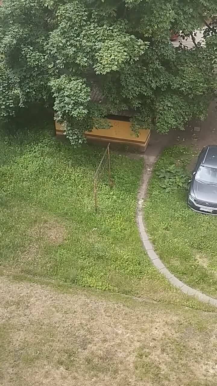 Dołączone media