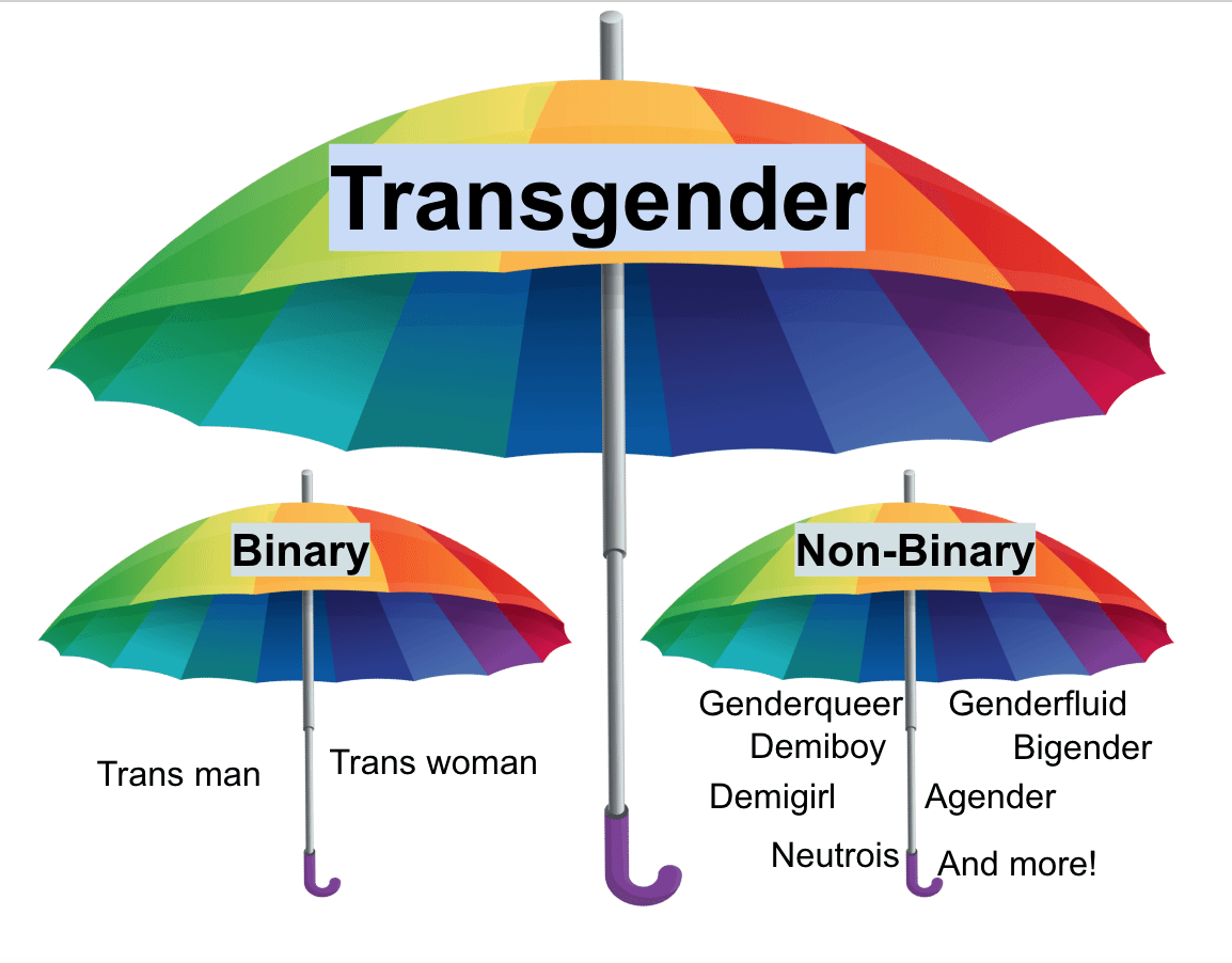 trans-umbrella