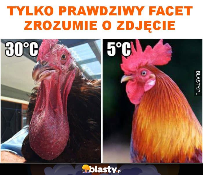 tylko-prawdziwy-facet-zrozumie-o_2017-07-01_12-34-27