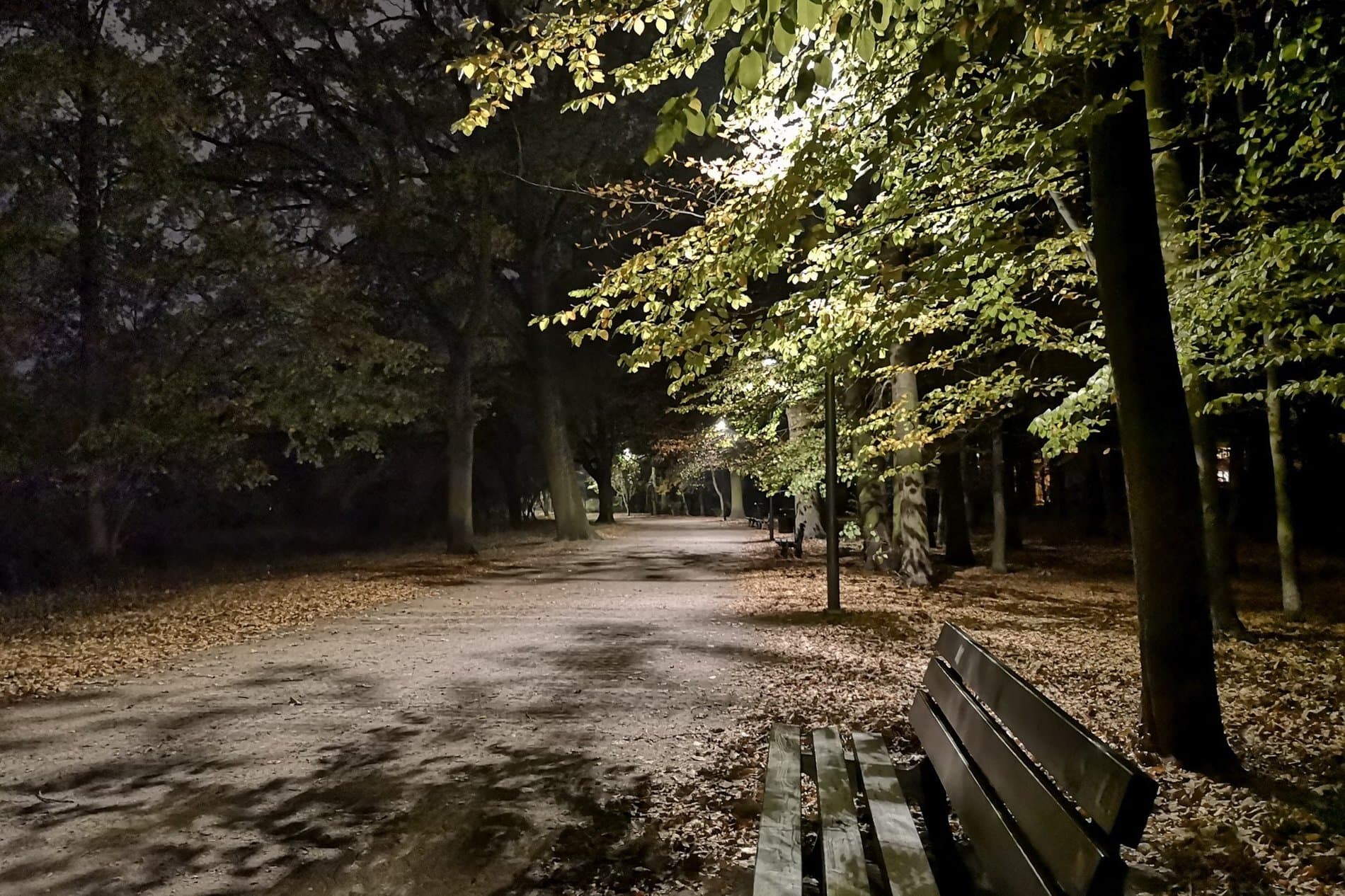 wylaczanie-nocne-oswietlenia-na-terenach-zielonych-zzm-wroclaw-1