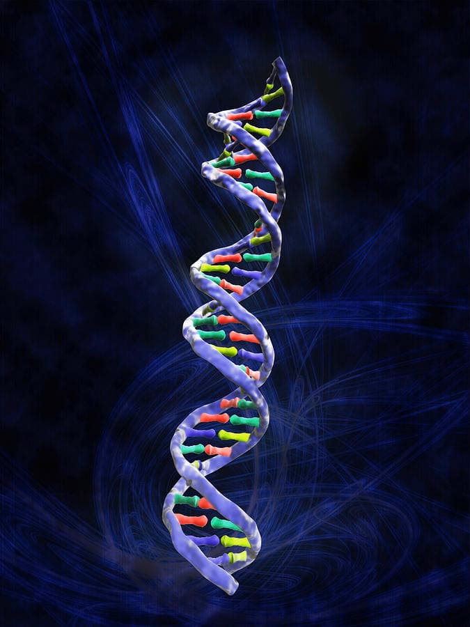 3-dna-molecule-gunilla-elamscience-photo-library