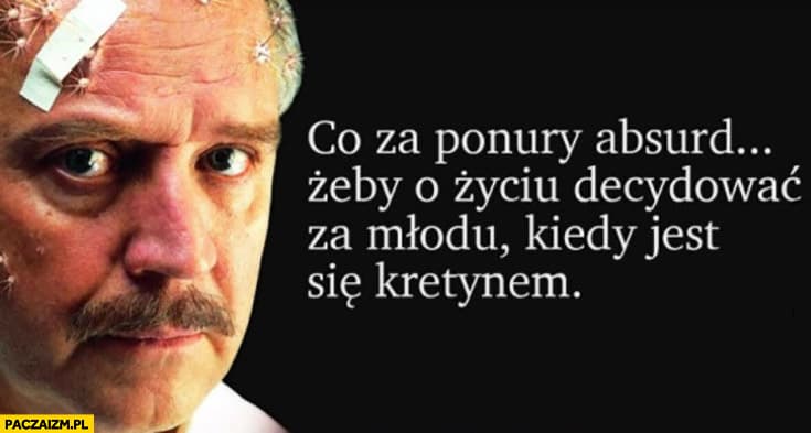comment_16520193118vlqPlOF0x4QXvMDDQmGEO