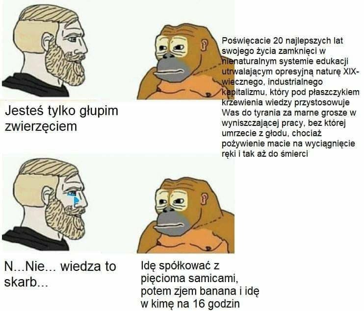 comment_166633558004n7KeDPeL1kIn8VeXSW5S
