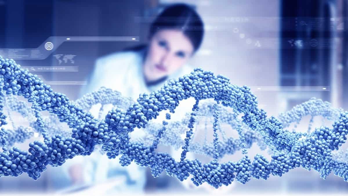 Nebula-Genomics-main