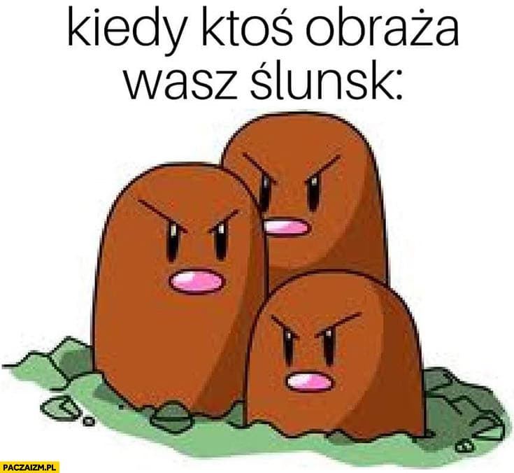 kiedy-ktos-obraza-wasz-slask