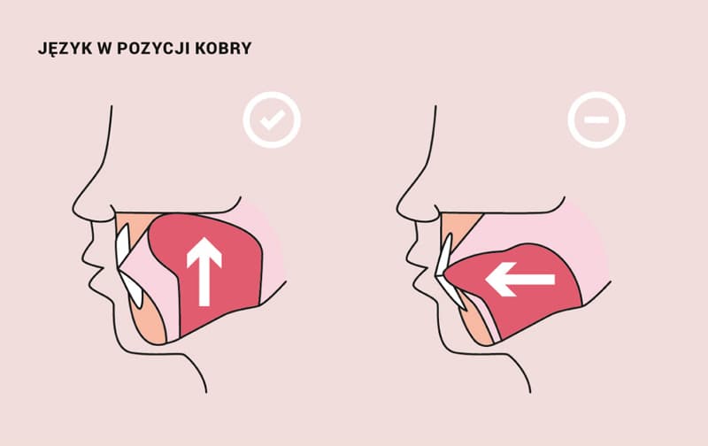 jogapiekna_jezyk-pozycja-kobry