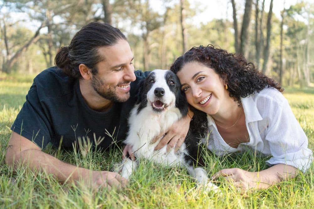 Hergott-canine-senior-photoshoot-Cattai-Honey-7d696a4a-1000