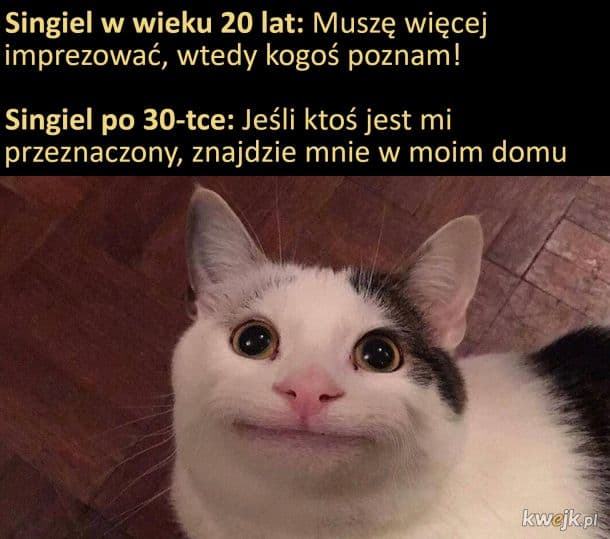 ze7iZvFz6tbaTmsV