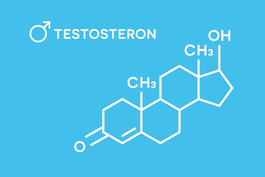 testosteron