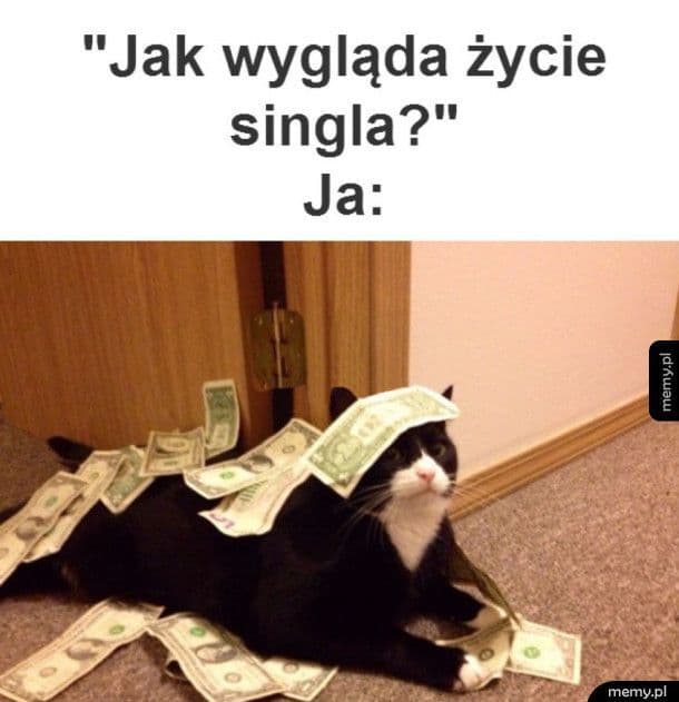 15003097439728