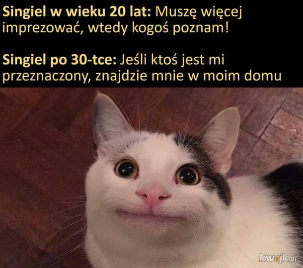 comment_1657394735BK2nwE9qvxM8y1WNZ80U9c