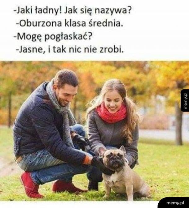 15509416292885