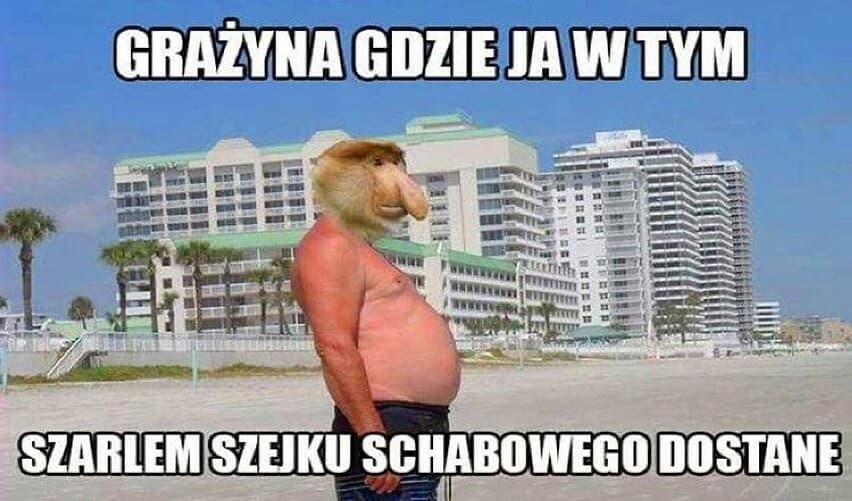 667d3f92a26fd_o_large
