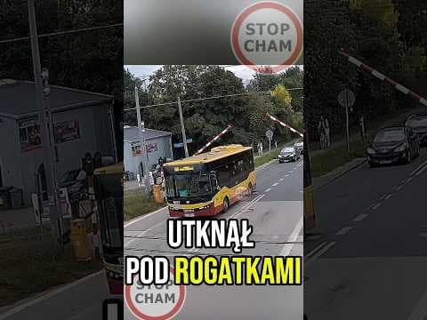 Dołączone media