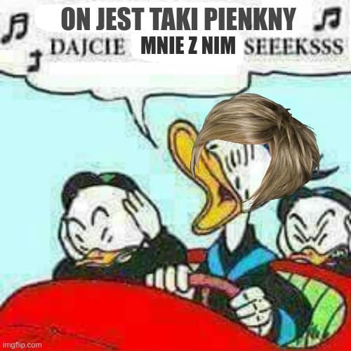81tegk