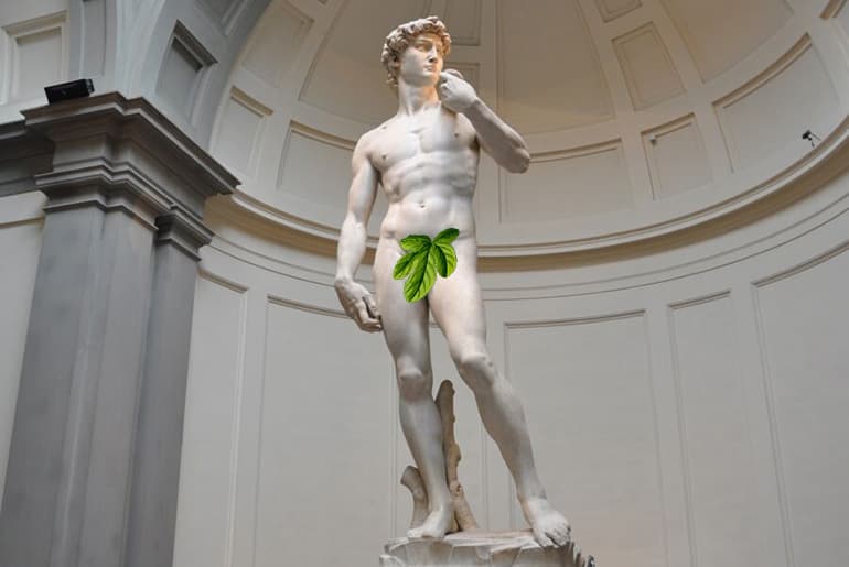davide-fig-leaf