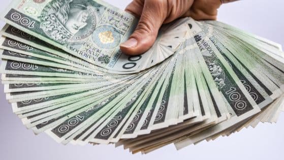 AdobeStock_311165401-autor-anna.stasiia-kasa-polska-polskie-pieni%C4%85dze-PLN