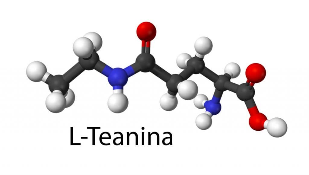 l-teanina-1024x580