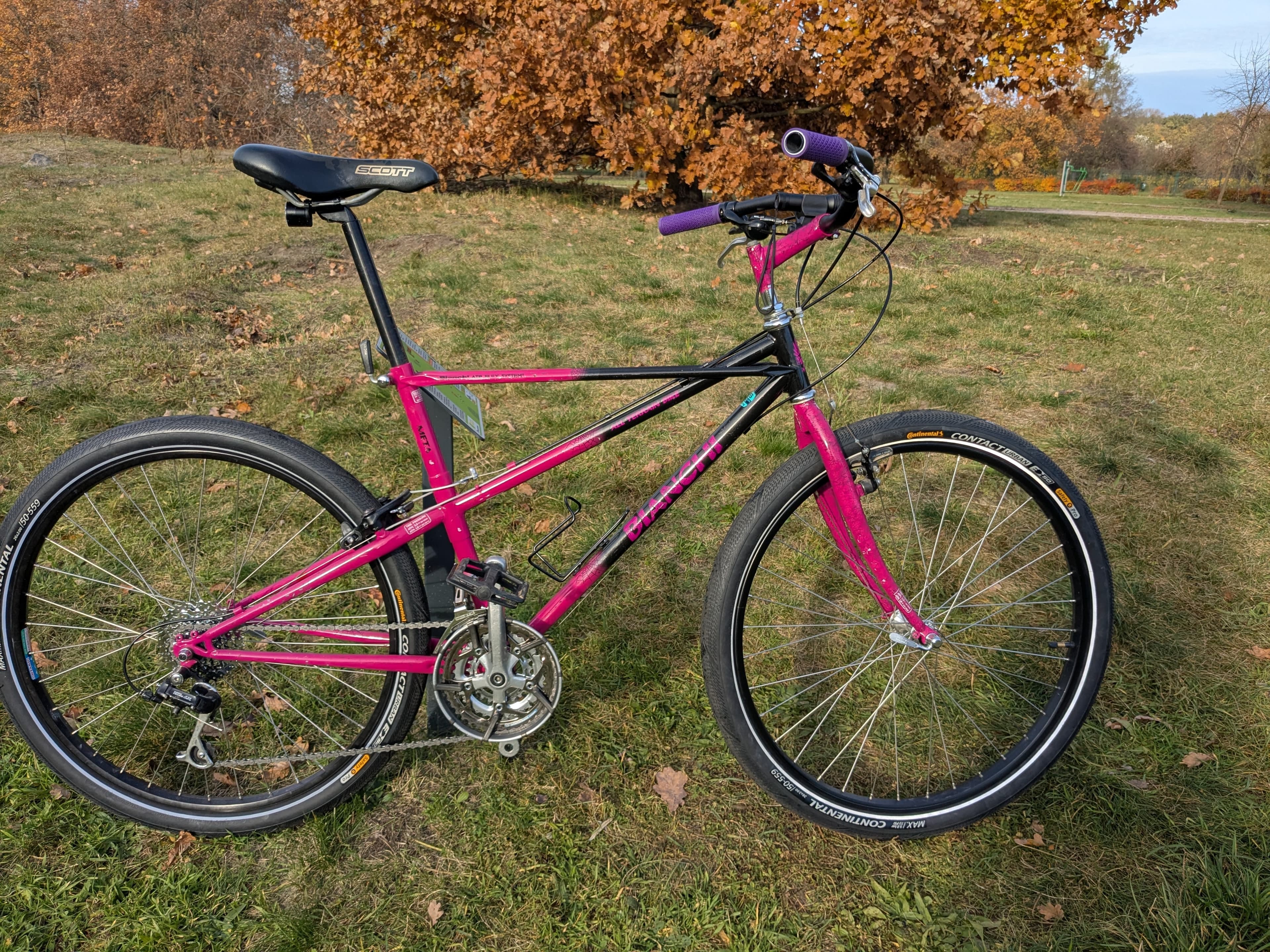 bianchi-1