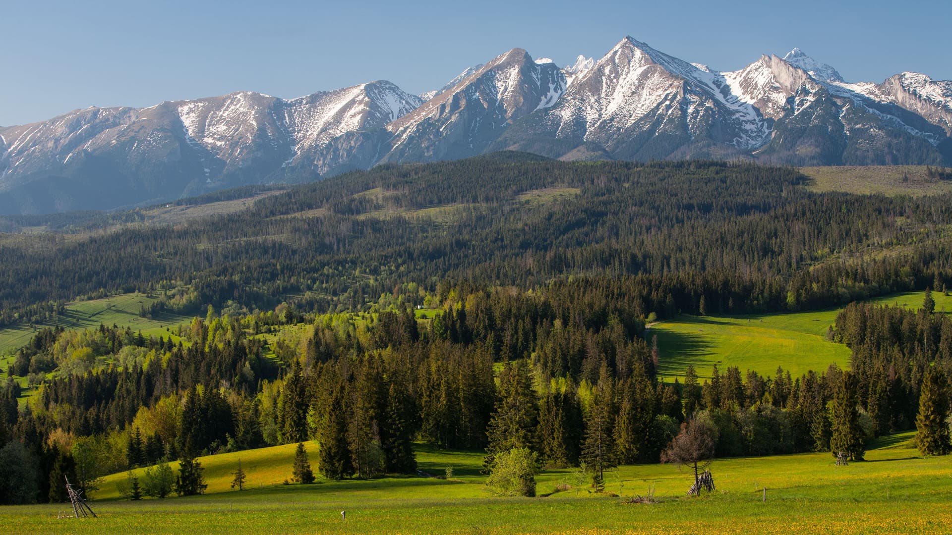 przelecz-nad-lapszanka-tatry