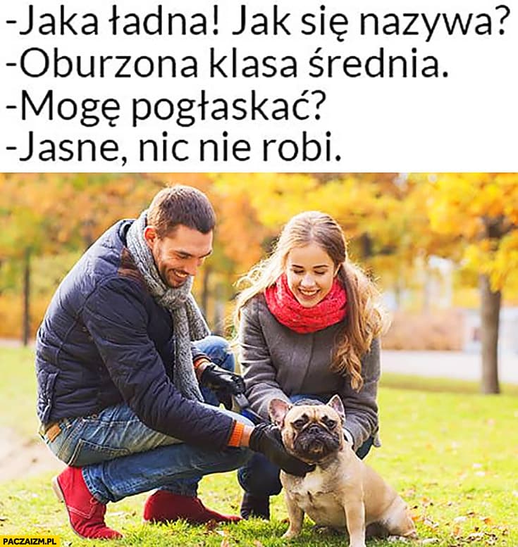 comment_1670233529s2Q93nVmQixBEWWVFFNE0k