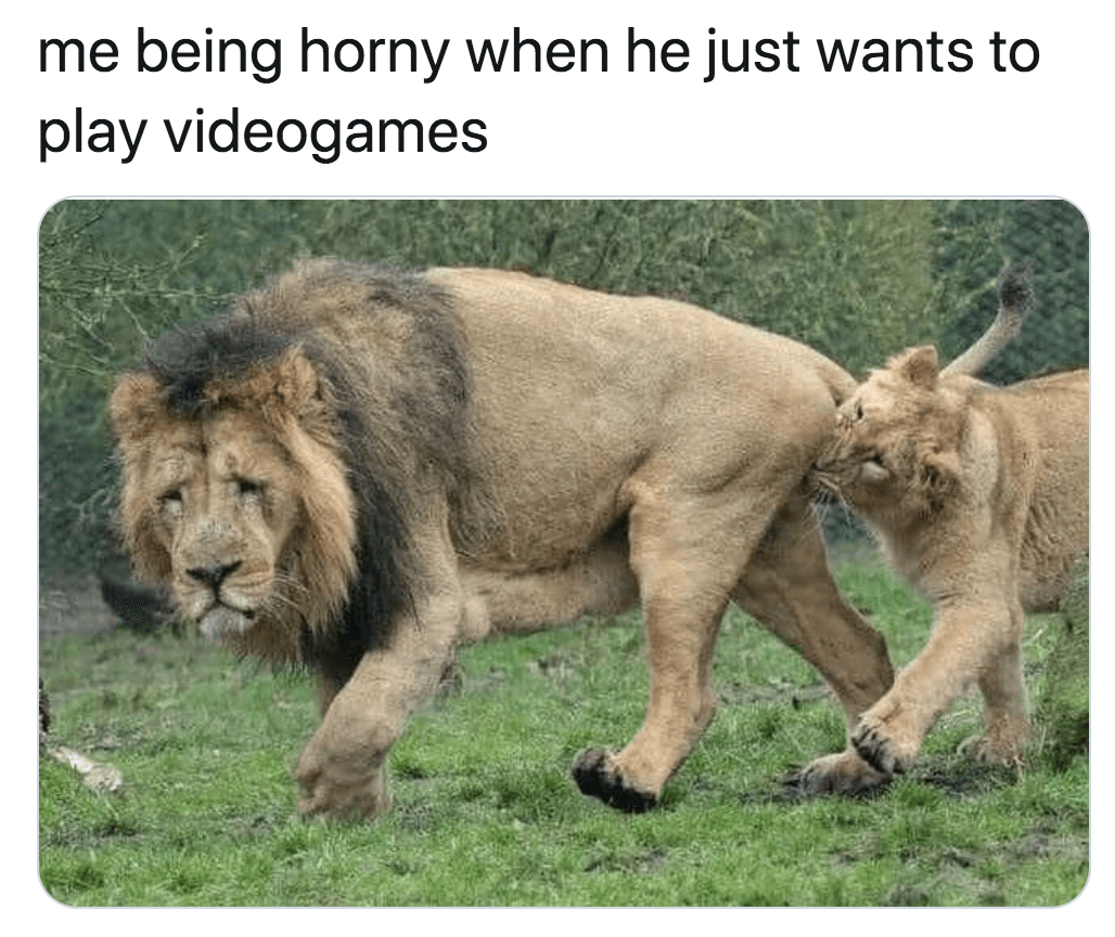 horny-lion-twitter-thread3